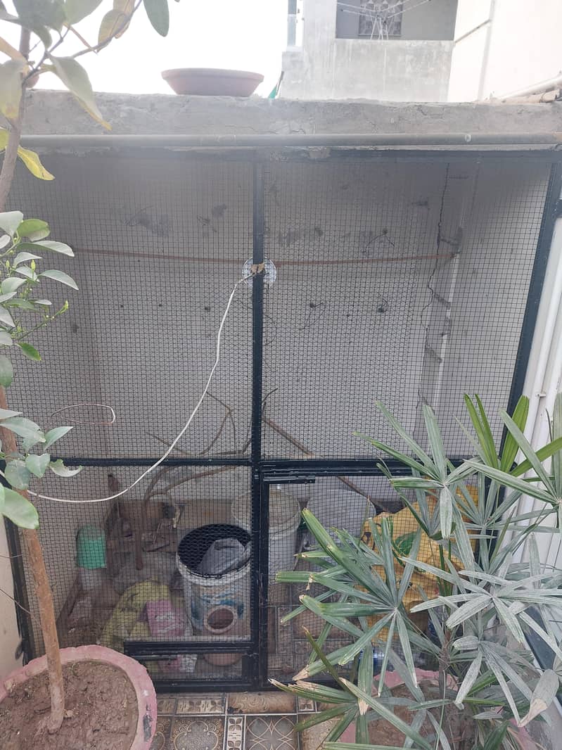 Cage Front (Frame) 2