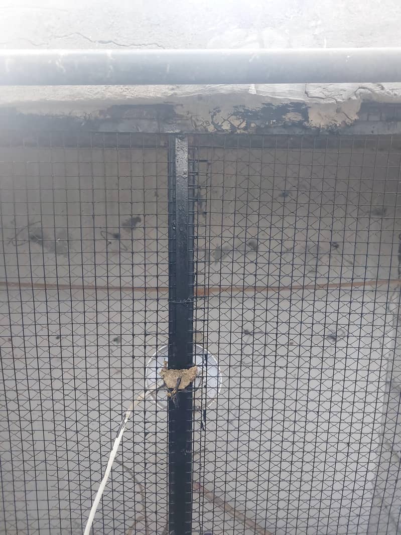 Cage Front (Frame) 3