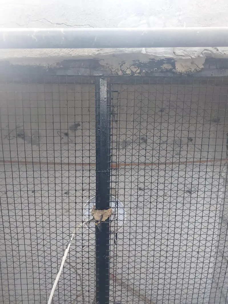 Cage Front (Frame) — photo 4