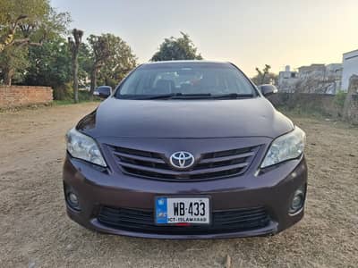 Gli 2014 in lush condition