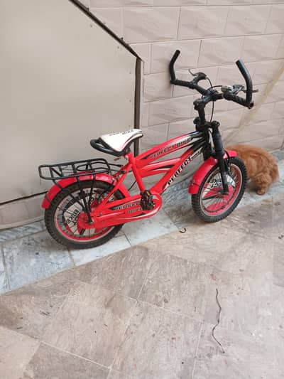 kids bicycle