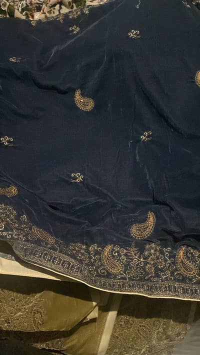 Wedding Dresss ( Velvet stuff too )