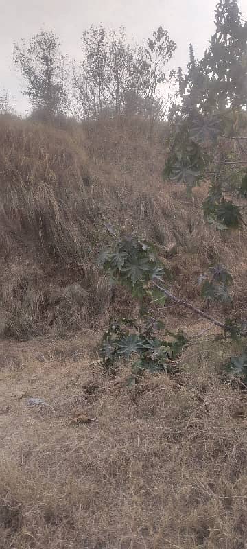 Three Side Corner Plot 10