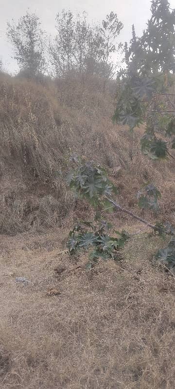 Three Side Corner Plot 11