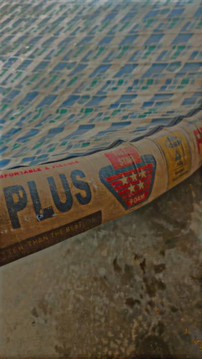 five star full size foem