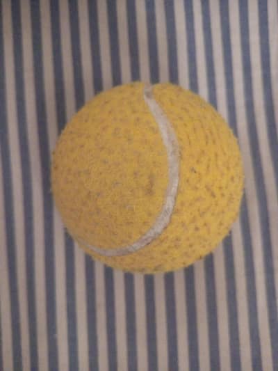 cricket ball