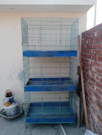 birds  cage