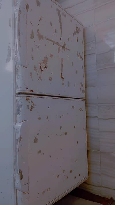 double door hier freezer