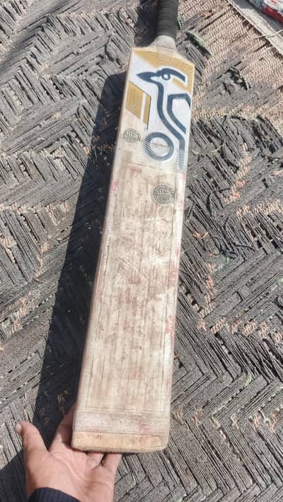Kashmir Willow original hard boll bat