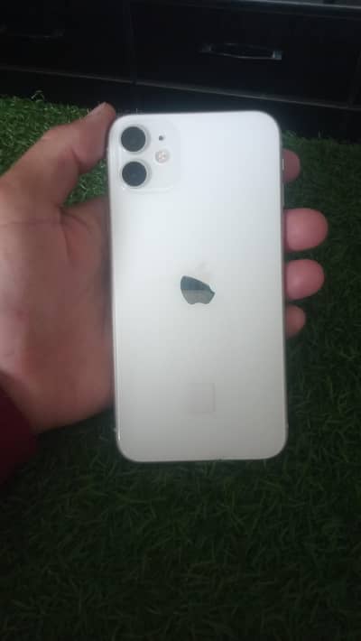 10/10condation white collar