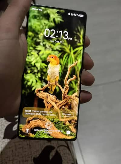 Tecno spark 20 pro plus