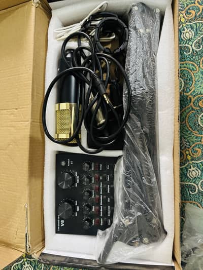 Condenser Microphone Mic