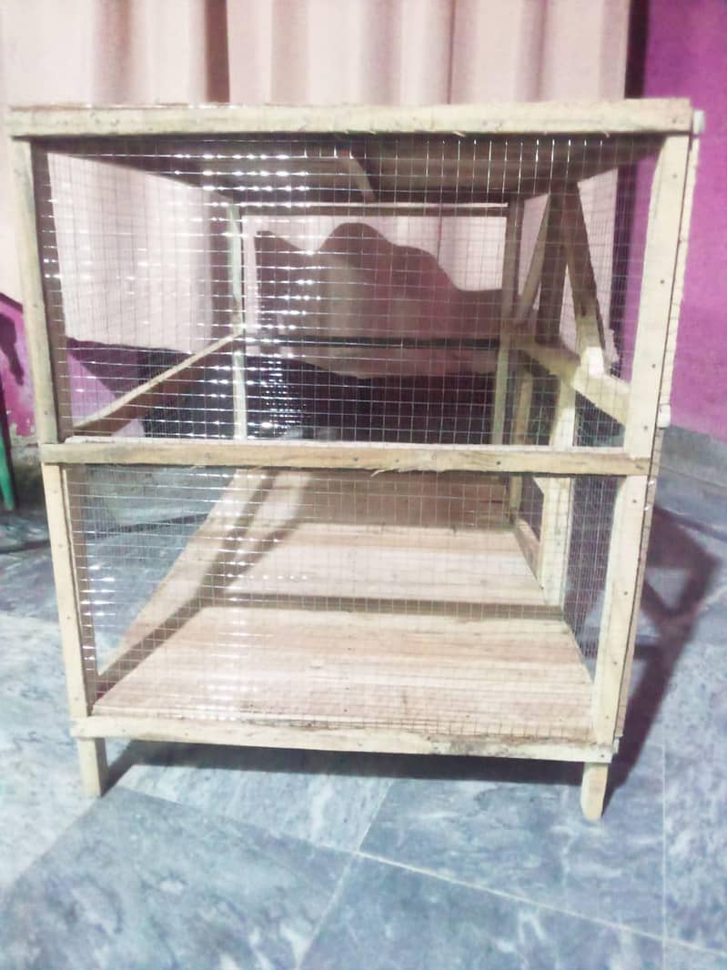 hen's cage 5