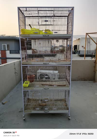 Birds cages