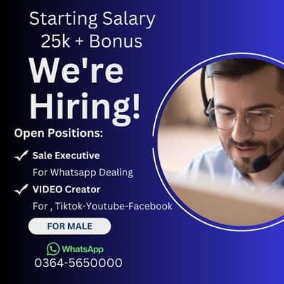 Online Sale Executive