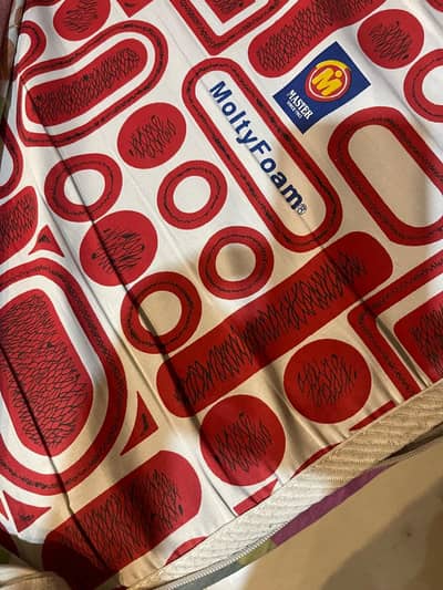 Molty Foam Mattress – 8 Inch