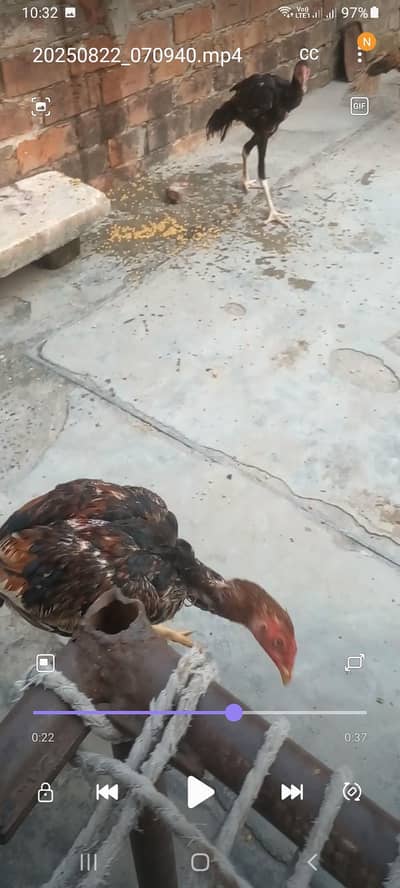 sall 4000 ki nambar 0343 4ooo5 44