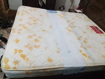 Master 1 and half year used