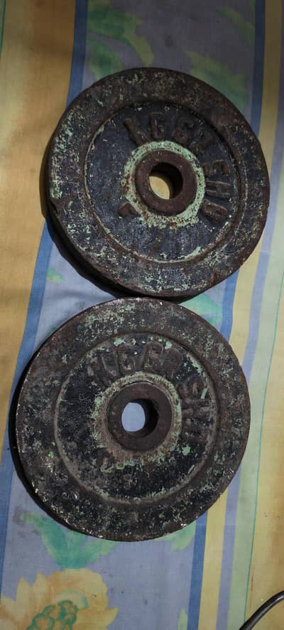 2 plates 10 kg 03054787879