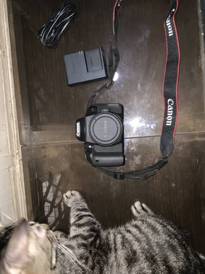 Canon 800d (rebel t7i)