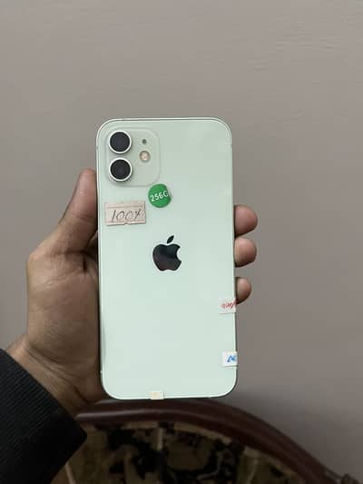 iphone 12 256Gb