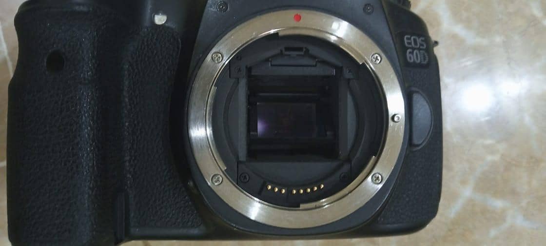 CANON EOS 60D 5