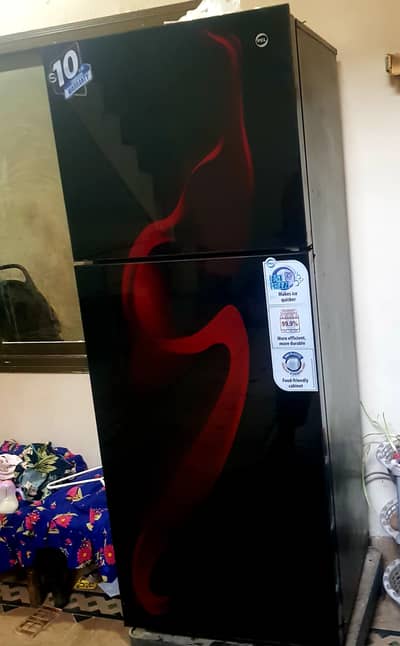 PEL glass door fridge