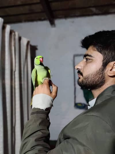 9 face to face talking hand tame Ghar ka pala howa azad gumta haripur