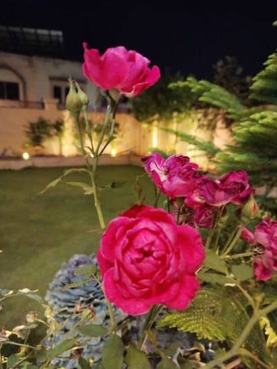 Sahil Malik 