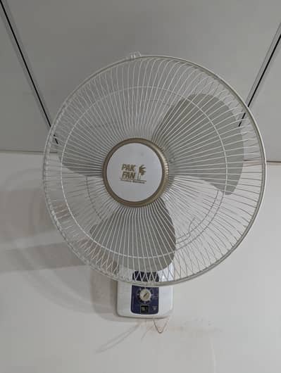 Pak fans