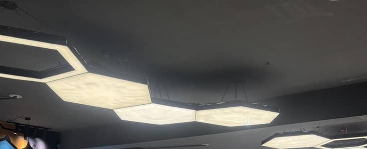 Hexagon Led Panel Light