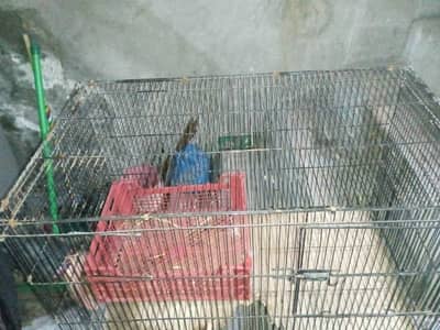 Cage for sale