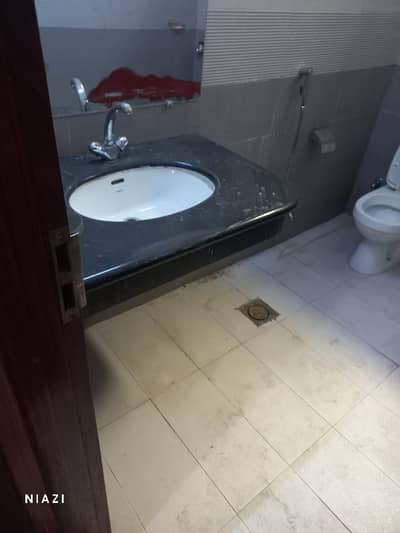 Beautiful Basement For Rent