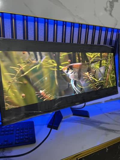 Dell 29inch border less ultrawide monitor 86hzz totally A+
