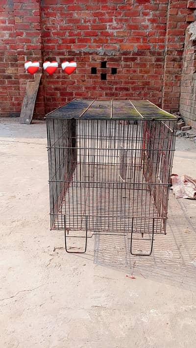 لوہے کی تار والا صاف ستھرا پنجرا