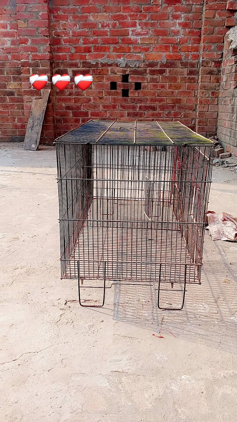 لوہے کی تار والا صاف ستھرا پنجرا 0