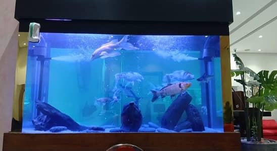 Fish Aquarium service maintenance  fish food  Equipments Available