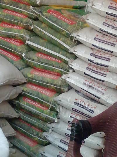 Helper required in swabi