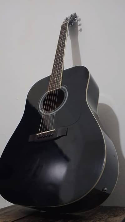 Professional Semi Acoustic Guitar 