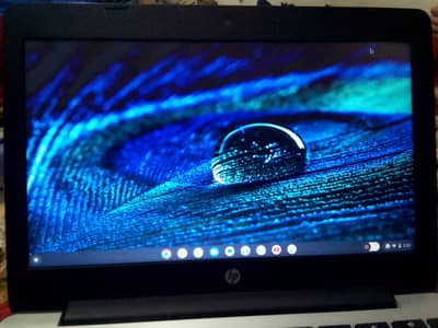hp Chromebook