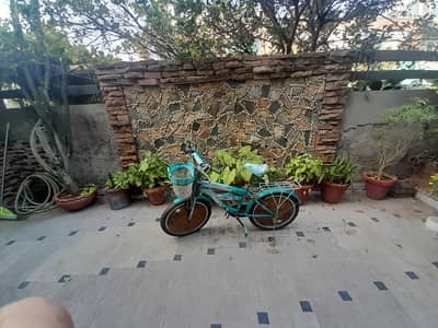 Beautiful Strong Girls/boys Bicycle