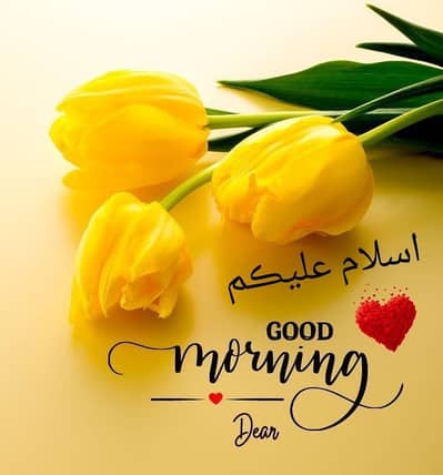 Female Accounts Executive