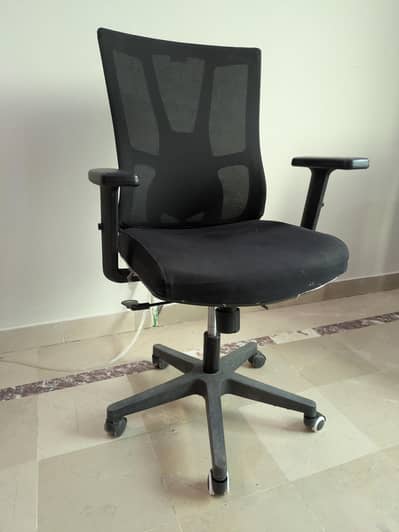 High Back Ergonomic Chair With Adjustable Armrest