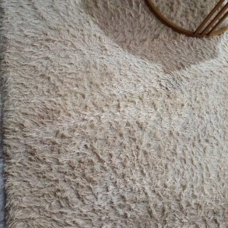 sofa cumbed and imported fur carpet 3