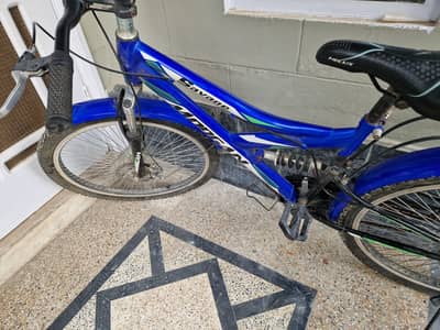 Single gear adult bike