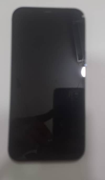 Apple iPhone 12 Pro Max