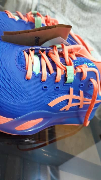 branded new shoes on  special discount