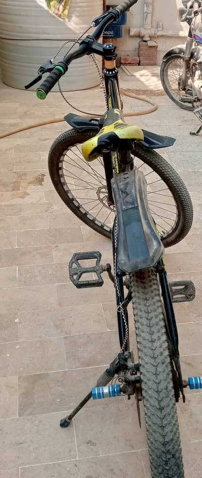 Sportive brand cycle