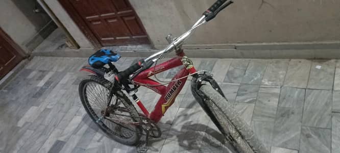 Sports Bicycle (26')