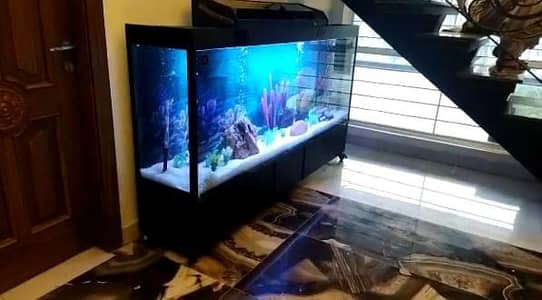 Aquariums/Aquariums For sale/Fish Aquariums/Fishes for sale